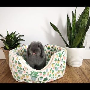 Meet your Posher, Bobbie